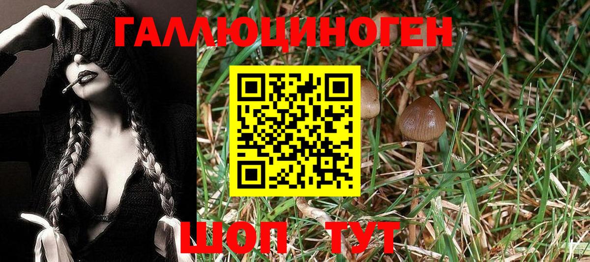Надым  Галлюциногенные грибы прущие грибы  купить   Вход с VPN 